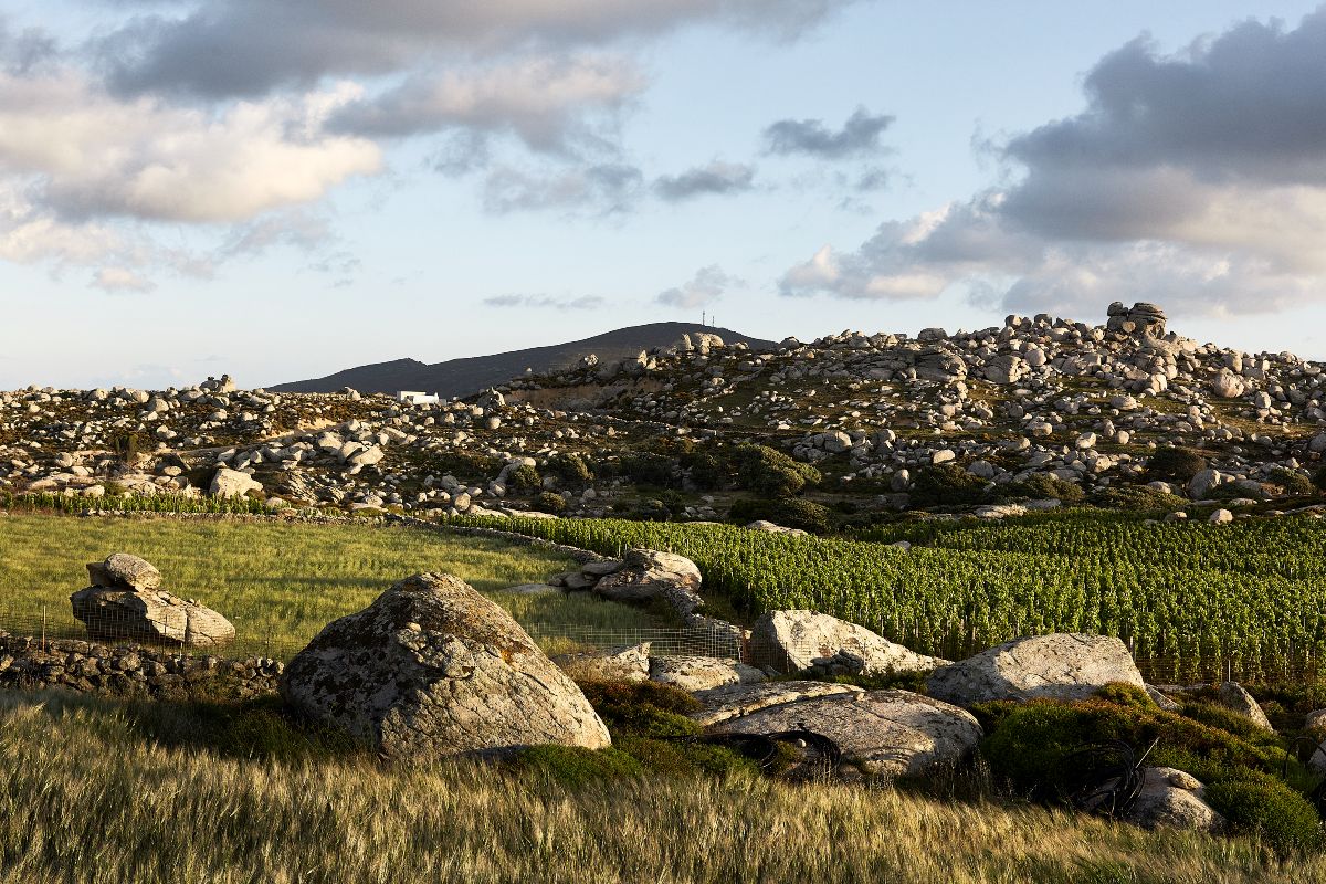 Το ιδιαίτερο ανάγλυφο της Τηνιακής γης