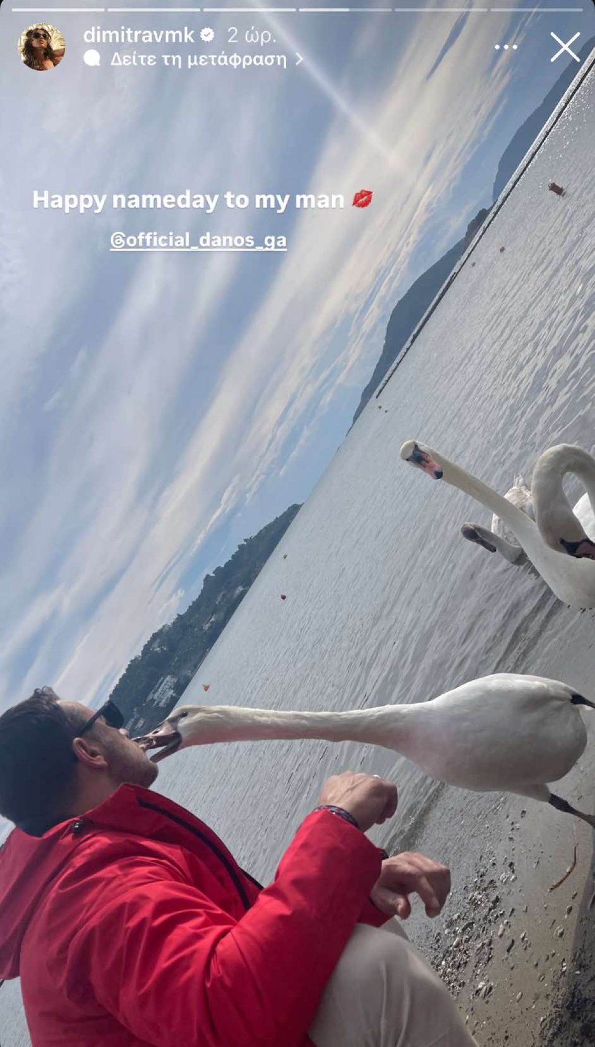 Γιώργος Αγγελόπουλος με χήνες