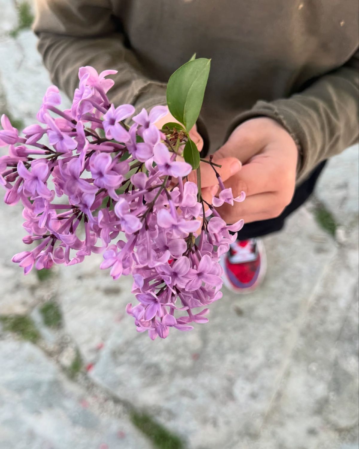Η ανάρτηση της Σίσσυς Χρηστίδου για το Πάσχα