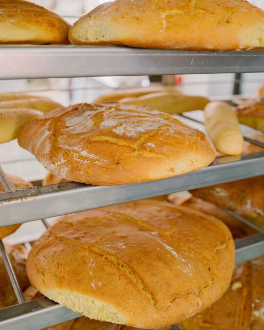 φρέσκο ψωμί