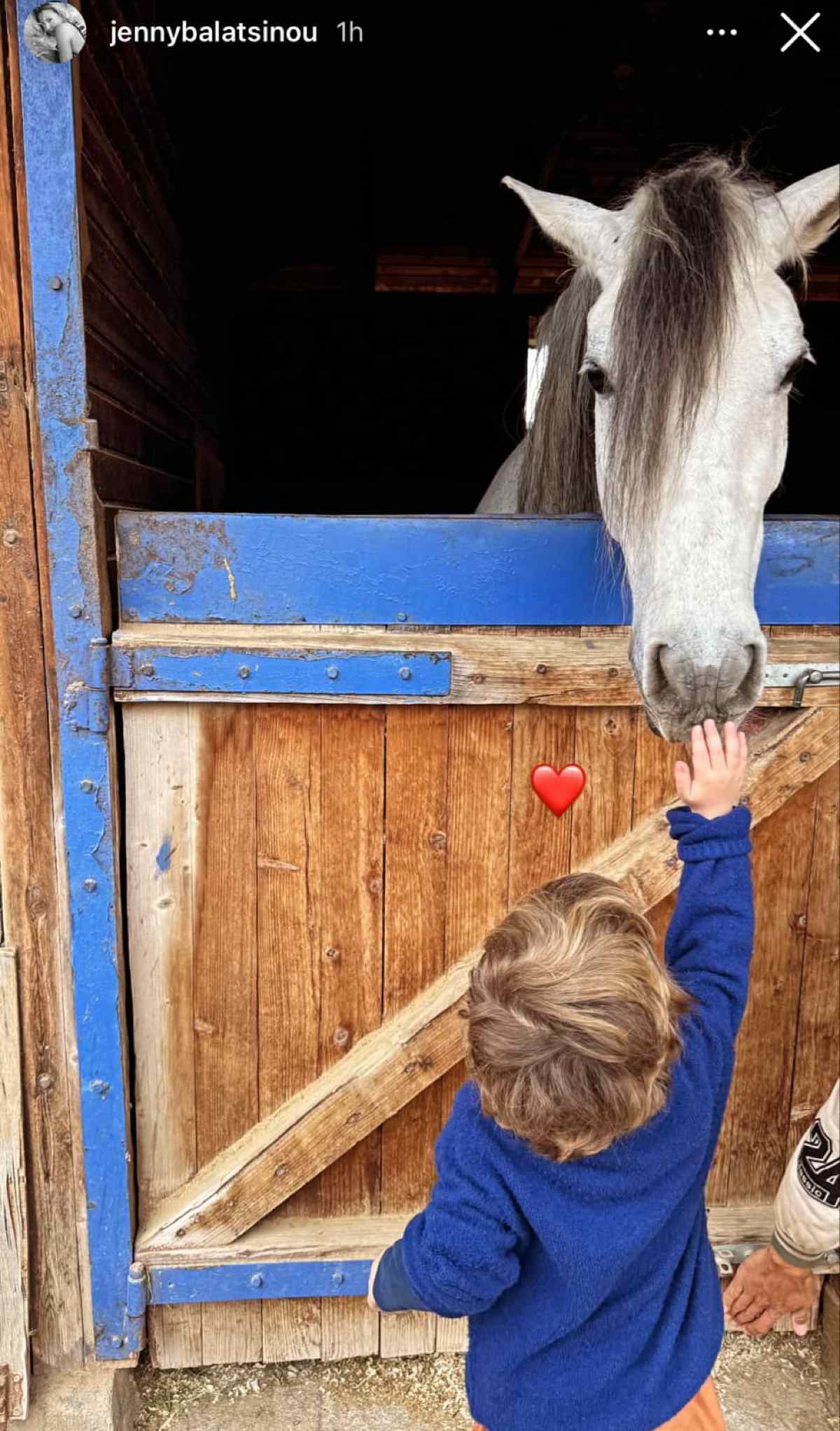 Η ανάρτηση της Τζένης Μπαλατσινού με τον γιο της