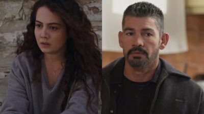 Γη της ελιάς Άννα Αποστόλης