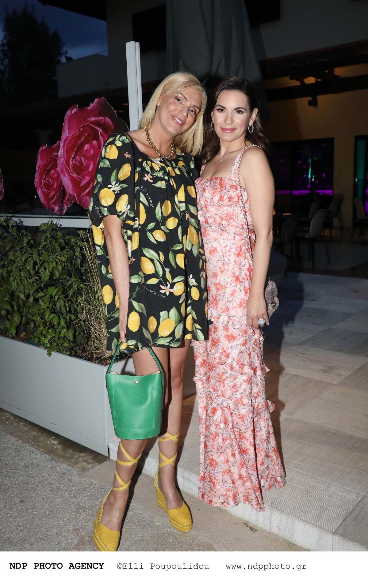 κεφαλόγιαννη σταμάτη