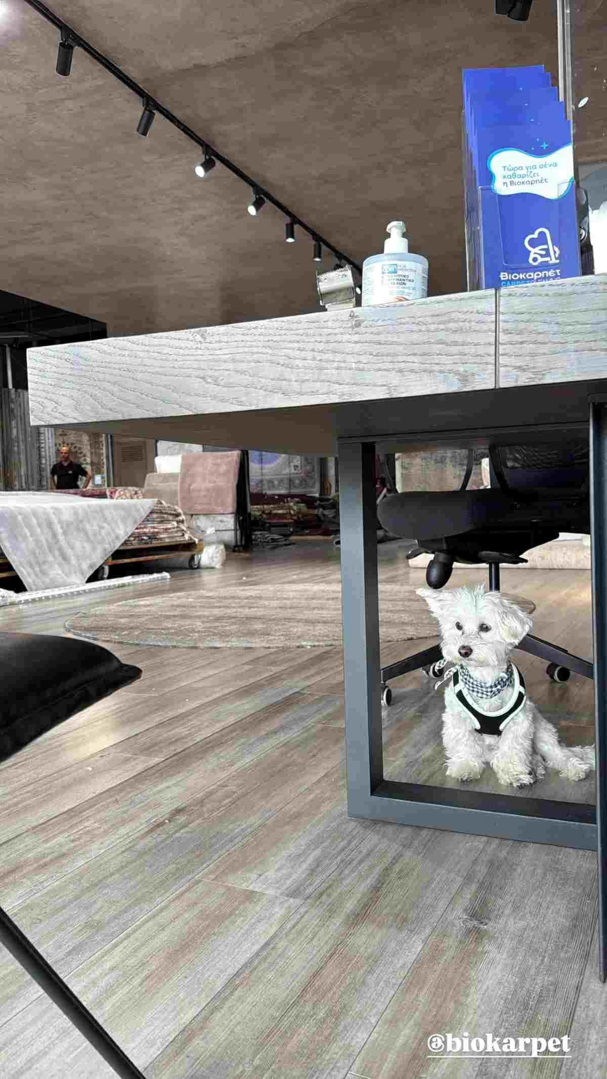 Η ανάρτηση της Κόνι Μεταξά στο Instagram