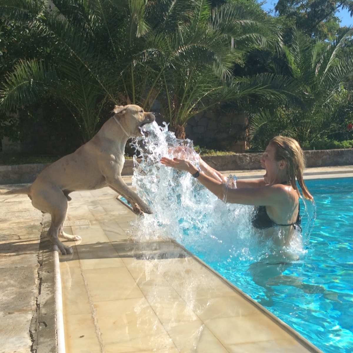 Η ανάρτηση της Κωνσταντίνας Μιχαήλ για τον θάνατο του σκύλου της