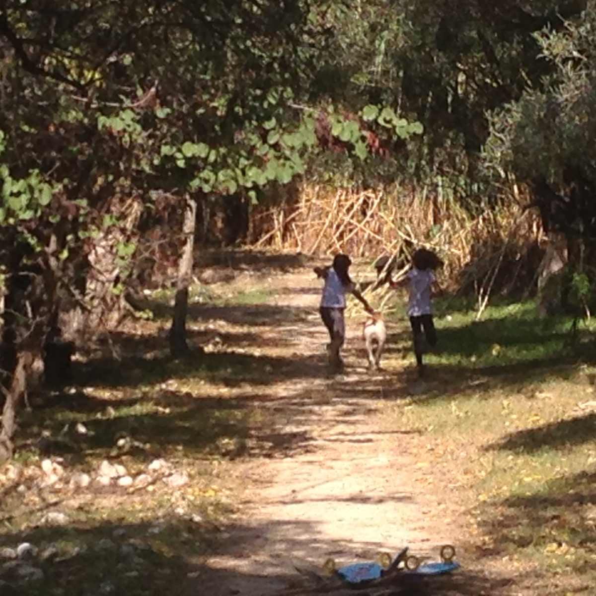 Η ανάρτηση της Κωνσταντίνας Μιχαήλ για τον θάνατο του σκύλου της