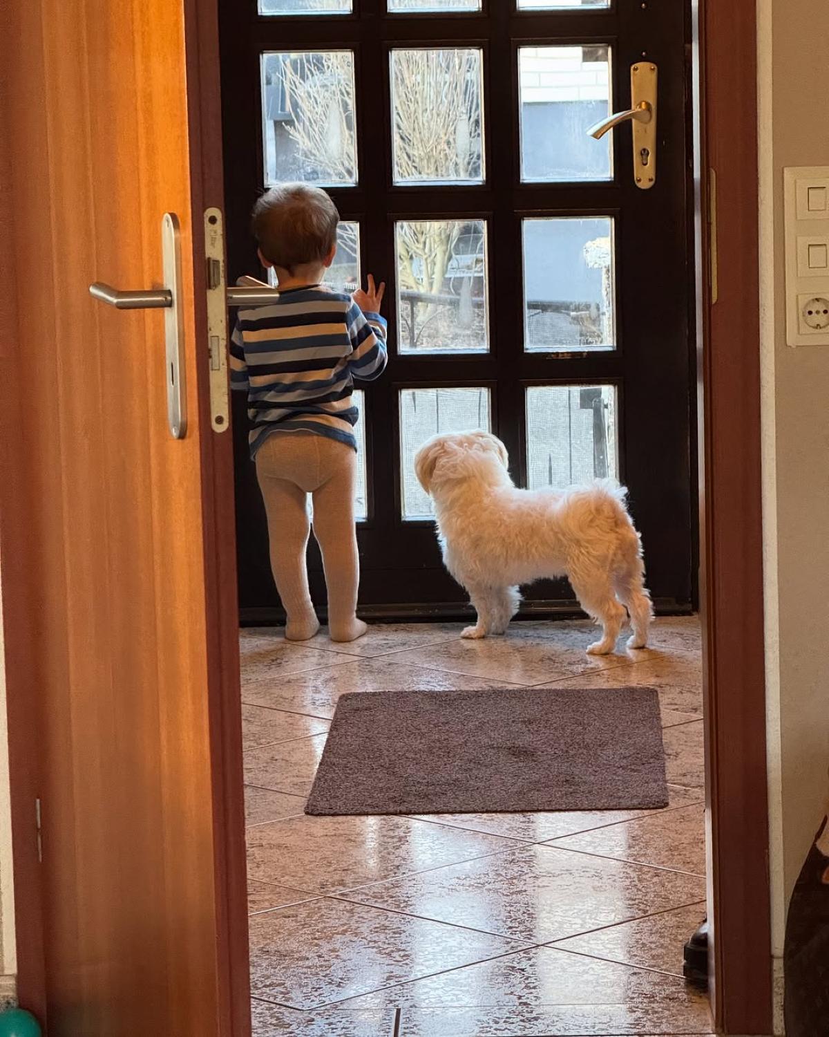 Ο γιος της Νάργες με τον σκύλο στο σπίτι