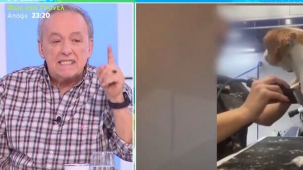 "Εξερράγη" ο Ανδρέας Μικρούτσικος: «Θα της κάνω μήνυση! Αυτές είναι σκηνές άγριων βασανιστηρίων»