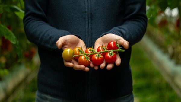 ΑΒ Βασιλόπουλος Δέσμευση στην ποιότητα