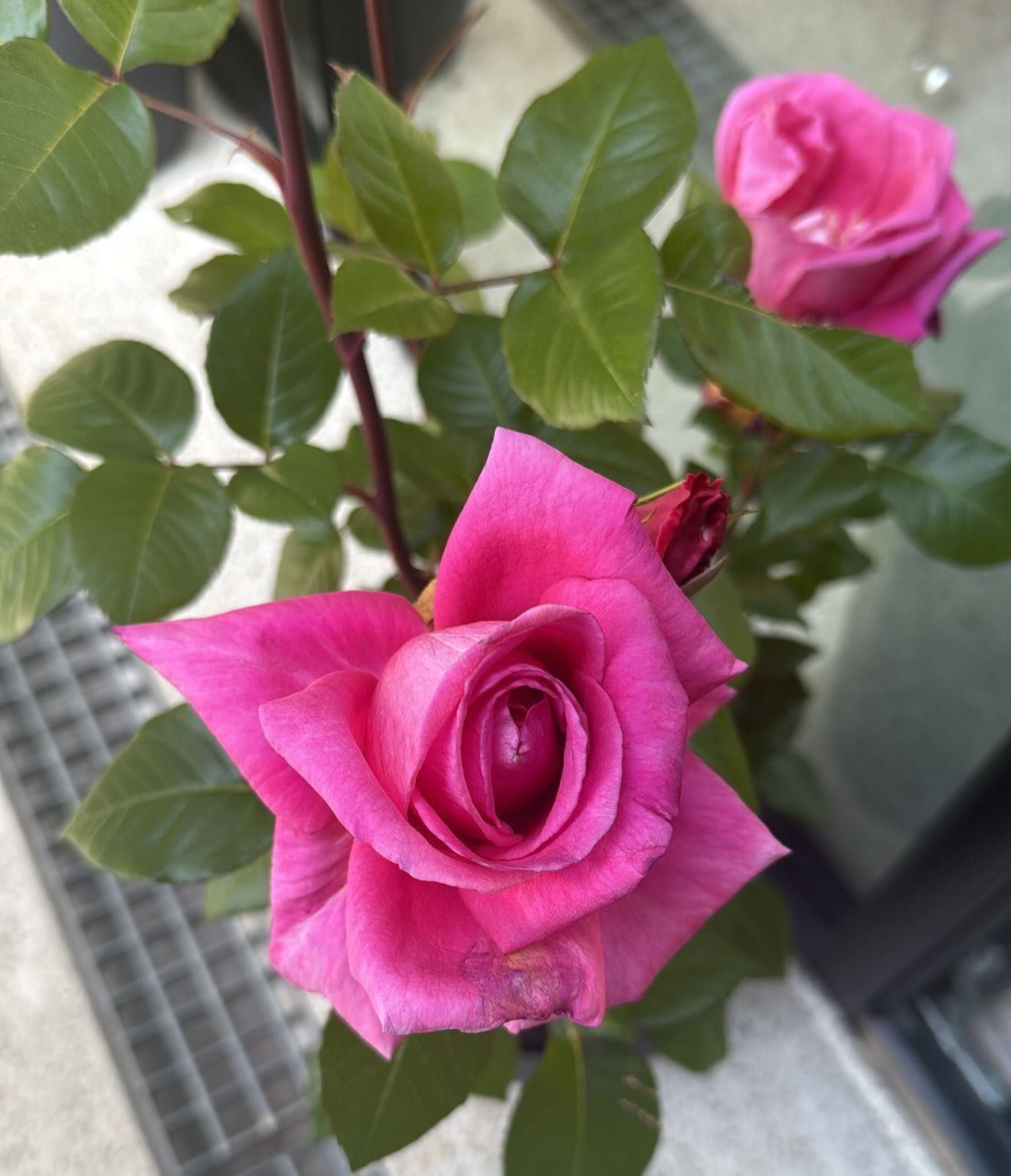 Η ανάρτηση της Ελένης Τσολάκη για το πρώτο Πάσχα με την κόρη της