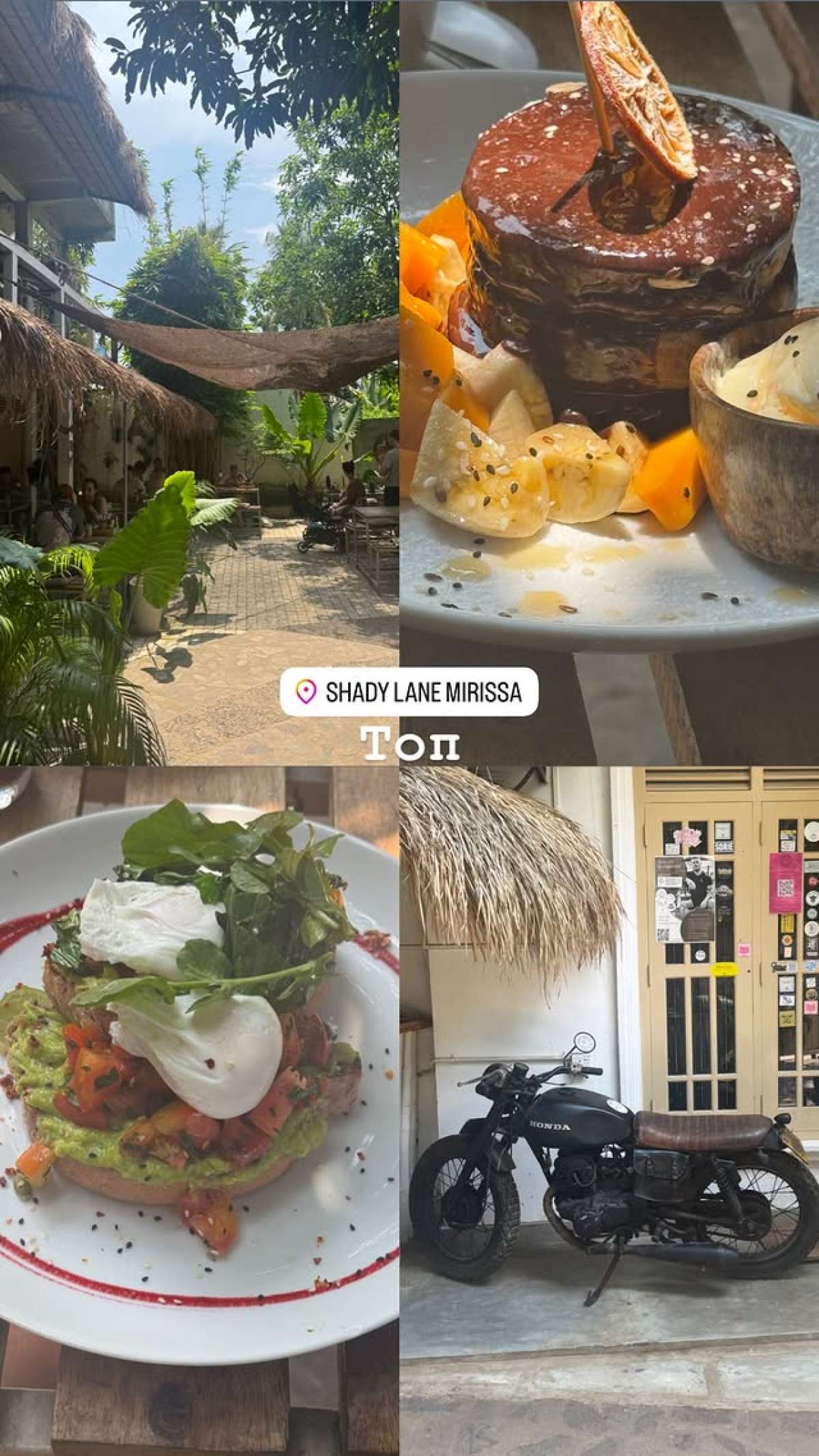 Βασάλος ασία