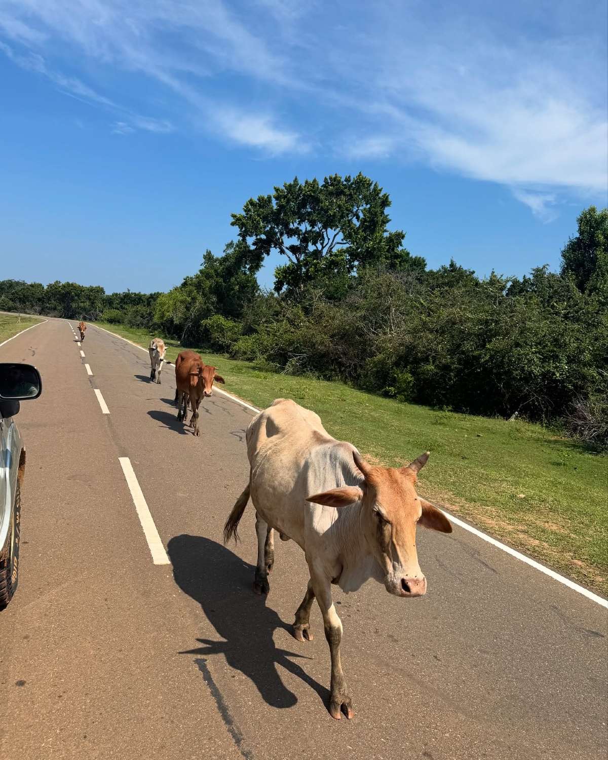 Ταξίδι στην Σρι Λάνκα