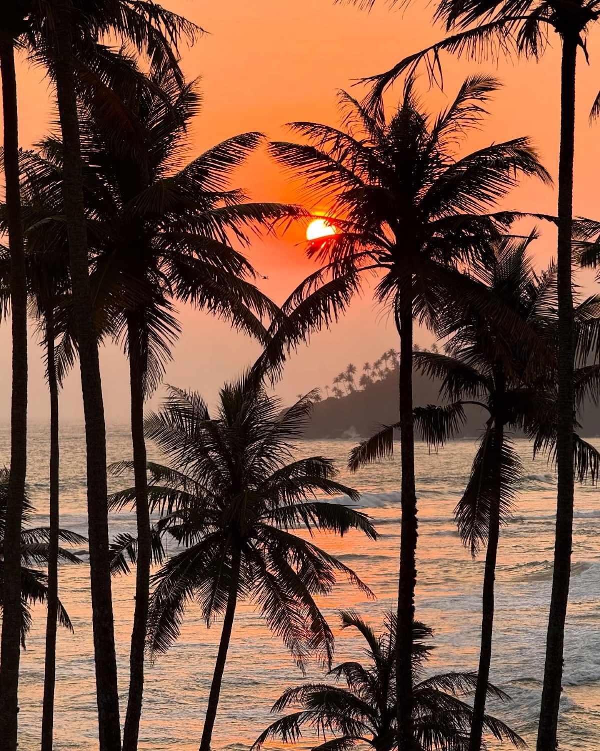 Ταξίδι στην Σρι Λάνκα