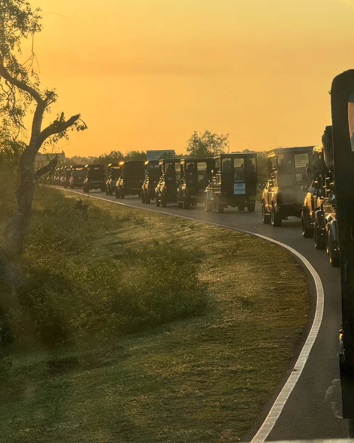 Ταξίδι στην Σρι Λάνκα