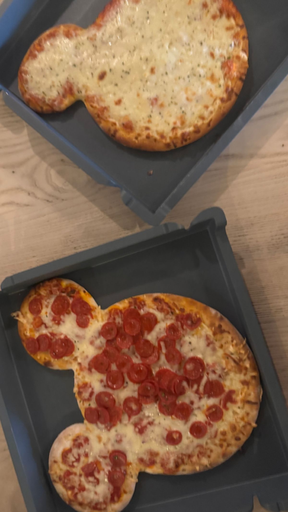 Η Σίσσυ Χρηστίδου με τους γιος της στη Disneyland