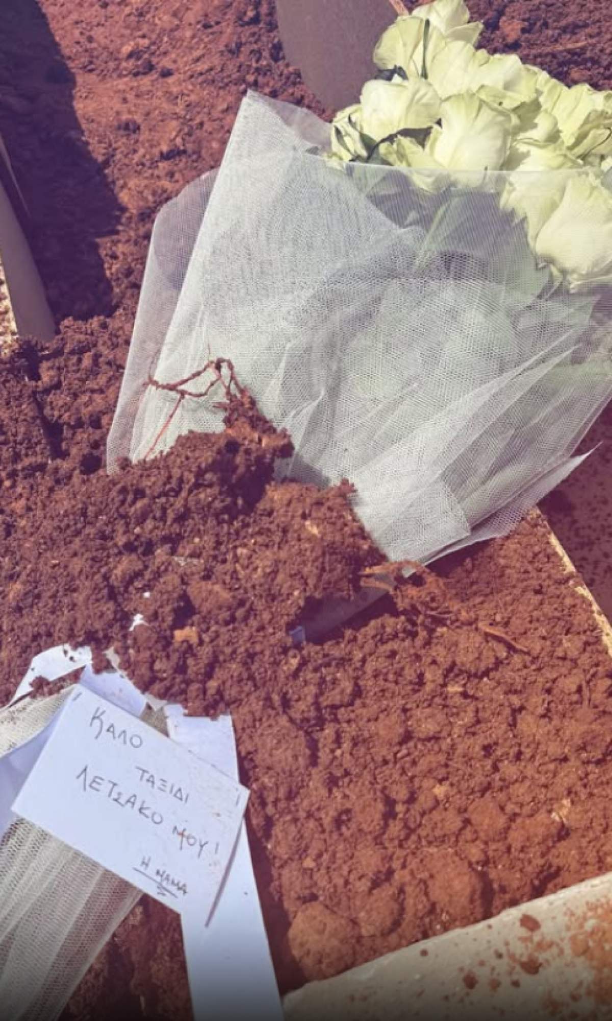 Χριστίνα Κολέτσα σκύλος