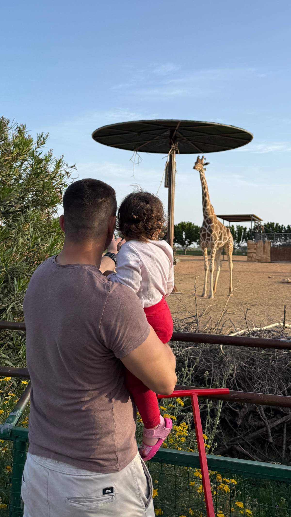 Ο Αγγελόπουλος με την κόρη του στον ζωολογικό κήπο