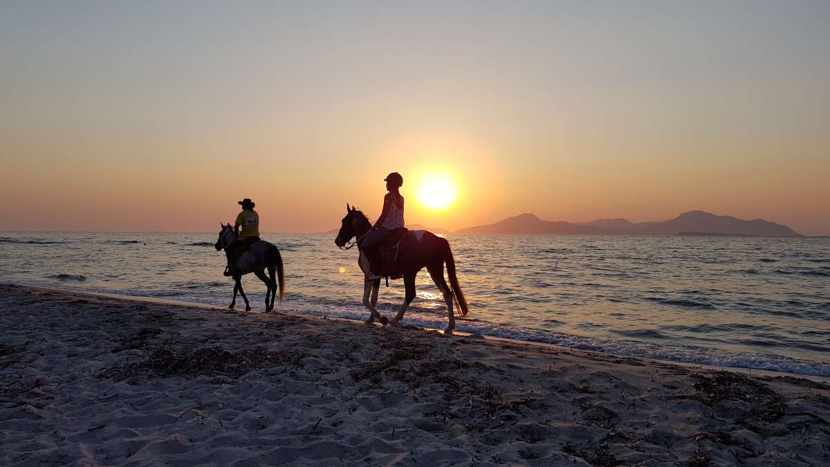 ιππασία Κως