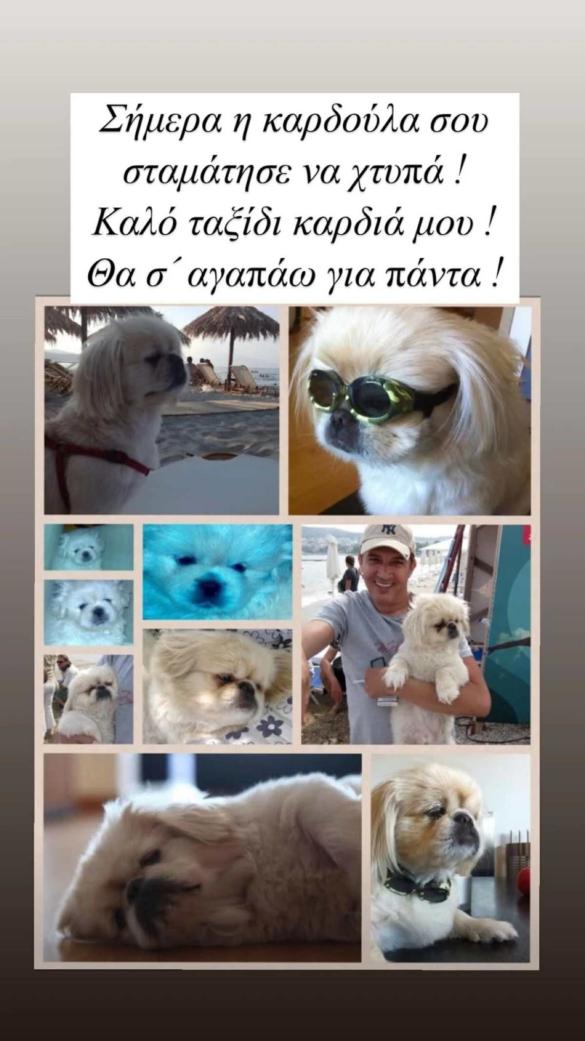 Η ανάρτηση του Κώστα Καπετανίδη για την απώλεια του σκύλου