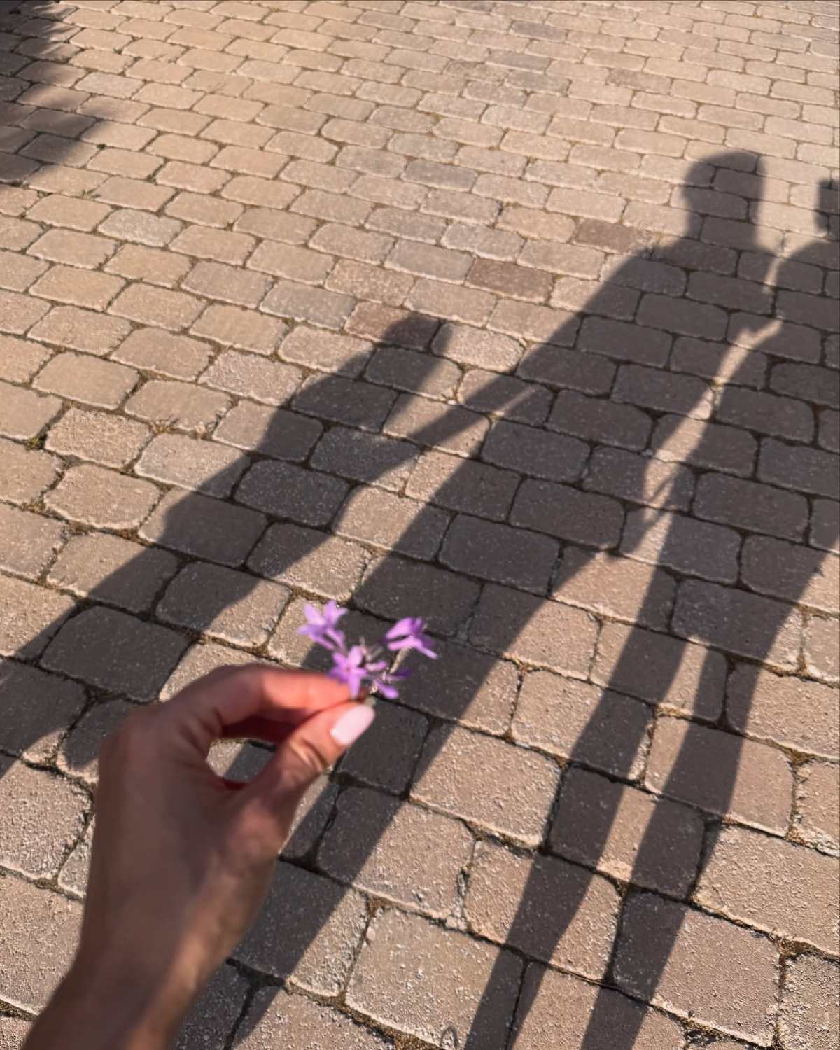 Ανάρτηση Δούκισσας Νομικού