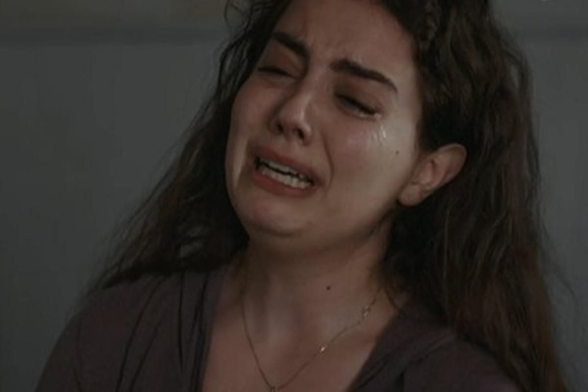 Η γη της ελιάς Άννα