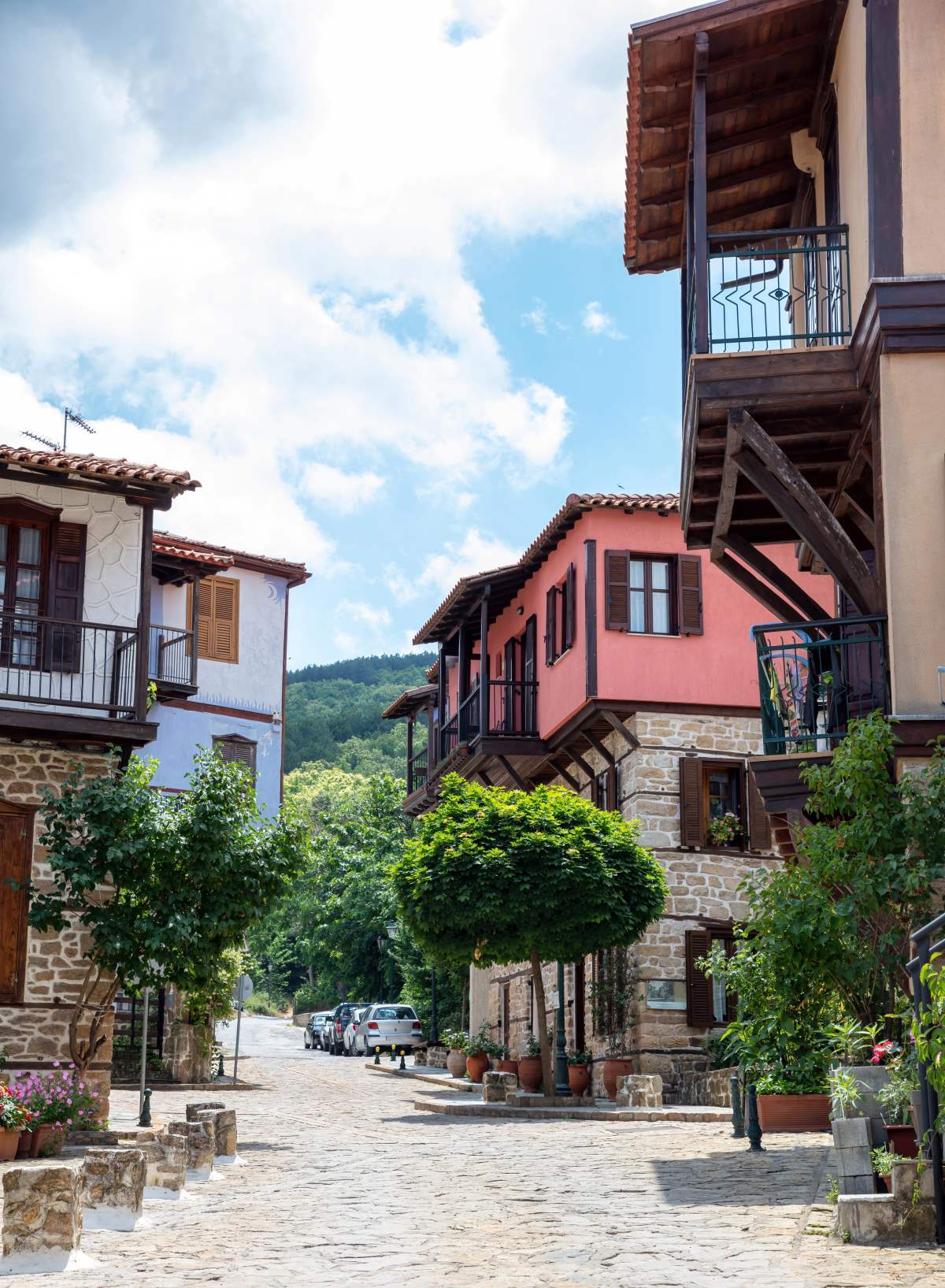 αρναία χαλκιδική