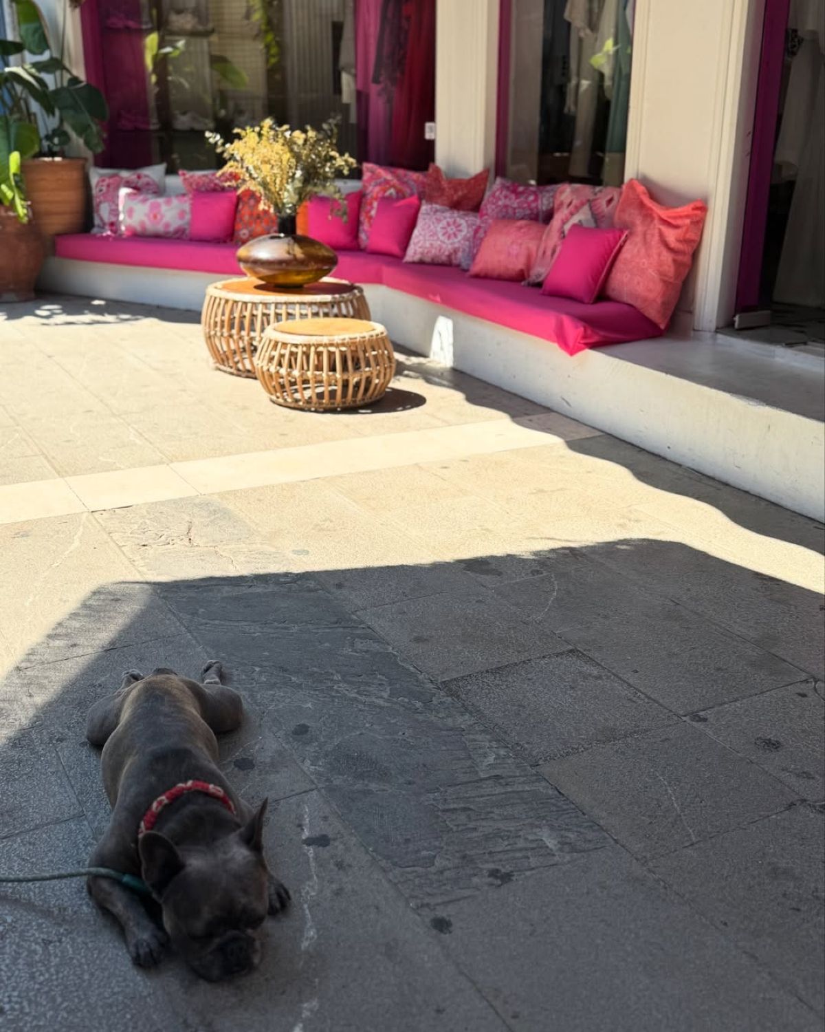 Η Δανάη Μπάρκα στο Instagram