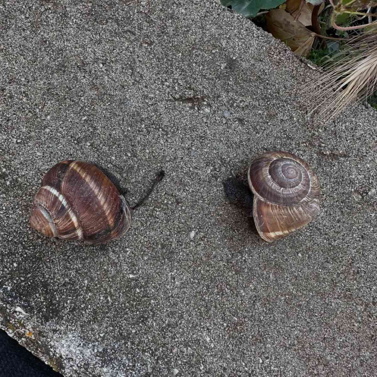 Η Ελένη Χατζίδου στο Instagram