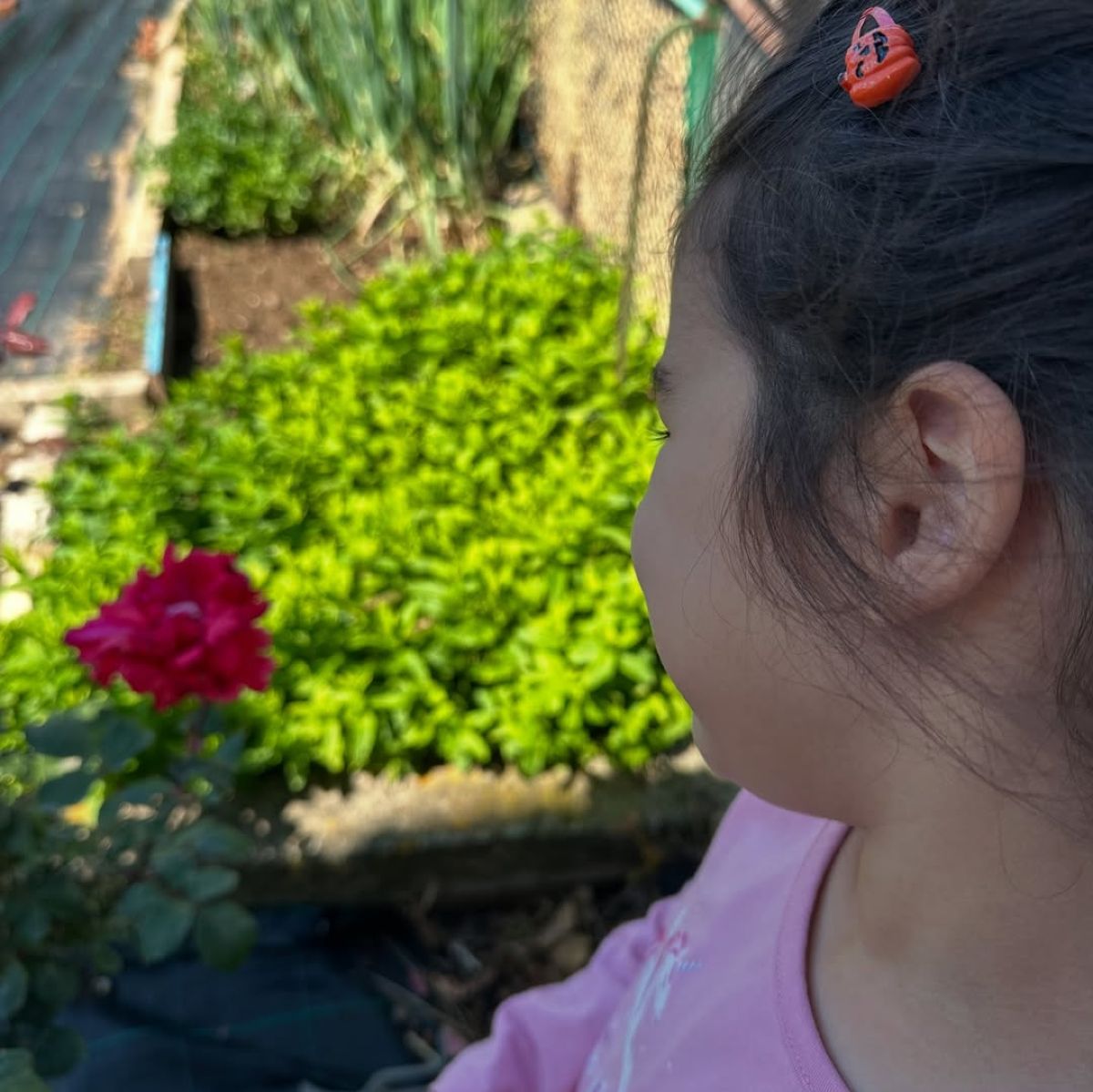 Η Ελένη Χατζίδου στο Instagram