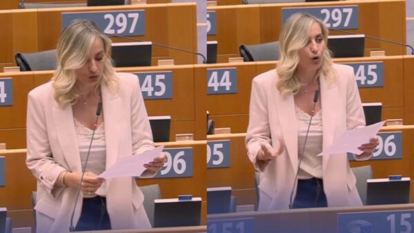 Η Ελεονώρα Μελέτη στο Ευρωκοινοβούλιο