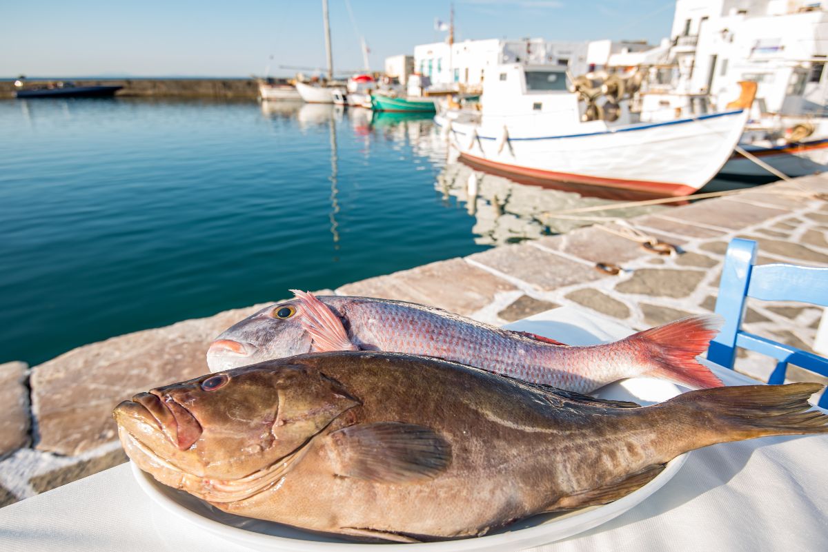Ολόφρεσκα ψάρια και θαλασσινά στον Τσαχπίνη