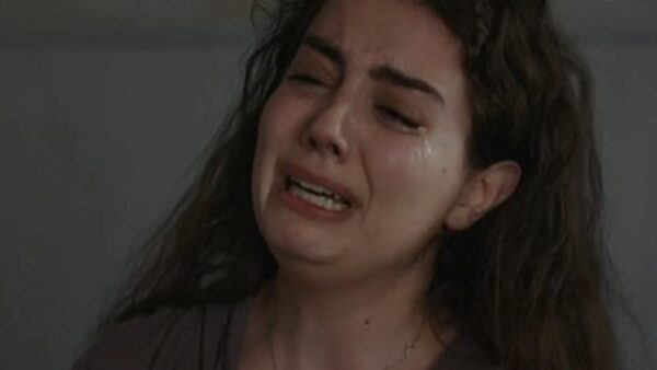 Η γη της ελιάς Άννα