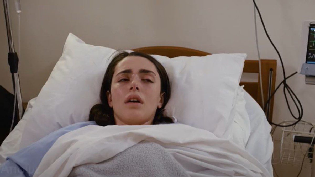 Γη της ελιάς Αριάδνη