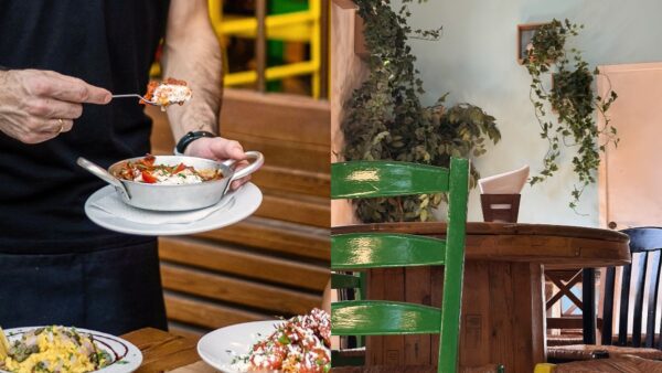 δυο φώτο από την καρδερίνα