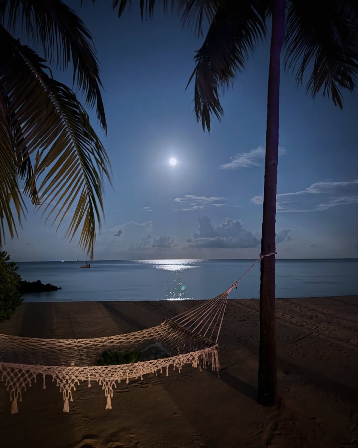 Η Δούκισσα Νομικού, ο Δημήτρης Θεοδωρίδης και τα παιδιά τους