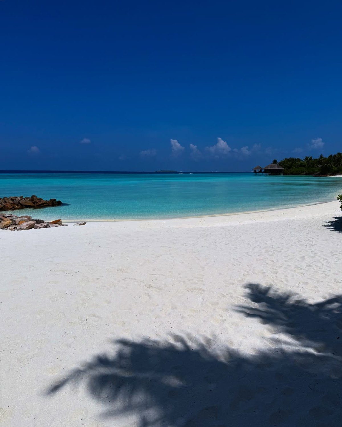 Η Δούκισσα Νομικού, ο Δημήτρης Θεοδωρίδης και τα παιδιά τους