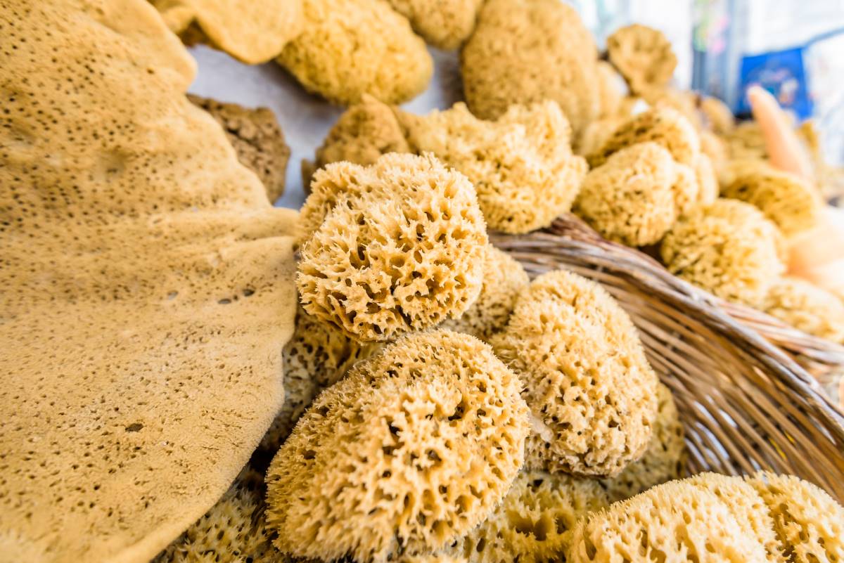 φυσικά σφουγγάρια 