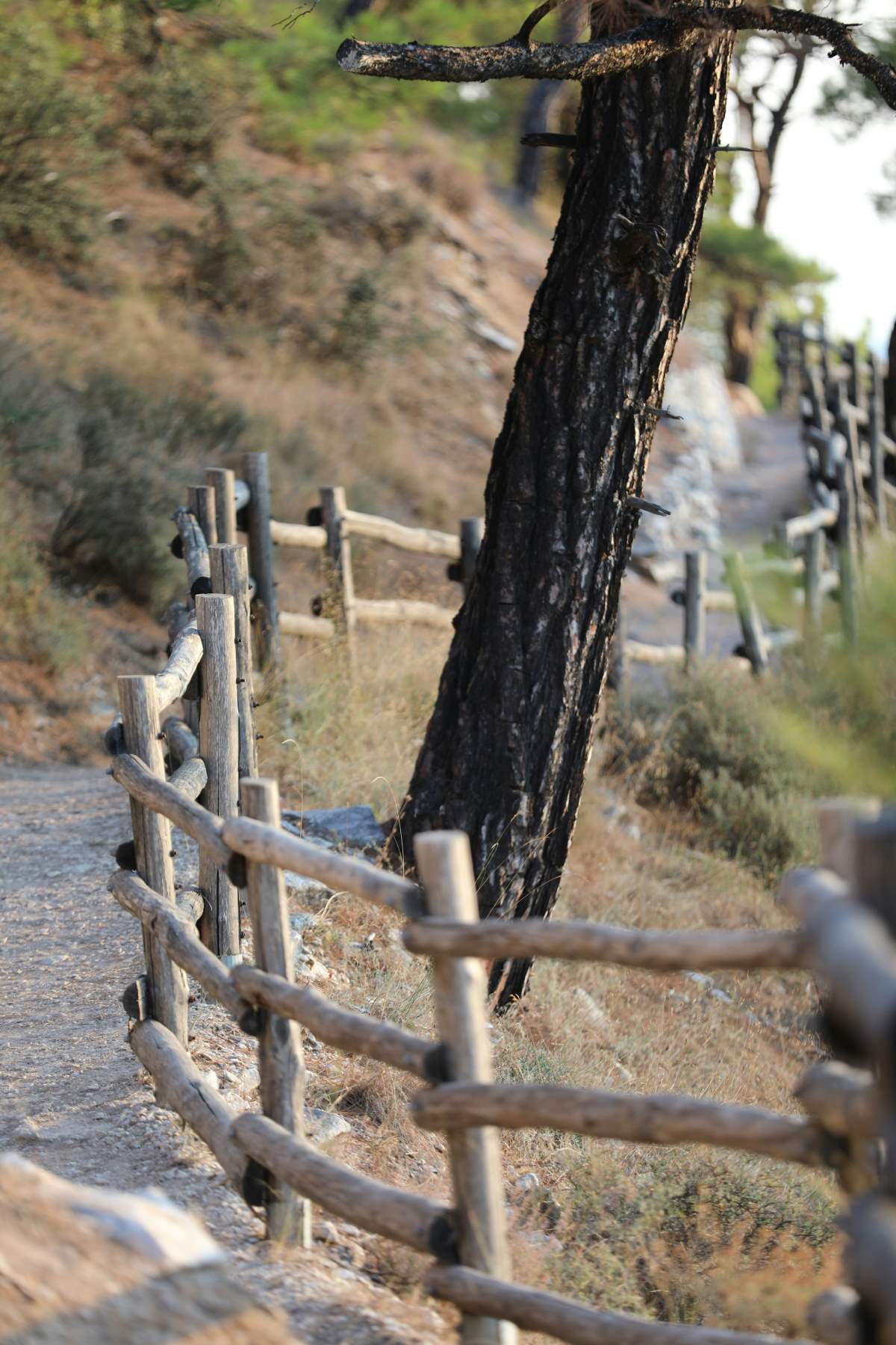 μονοπάτι θάσος