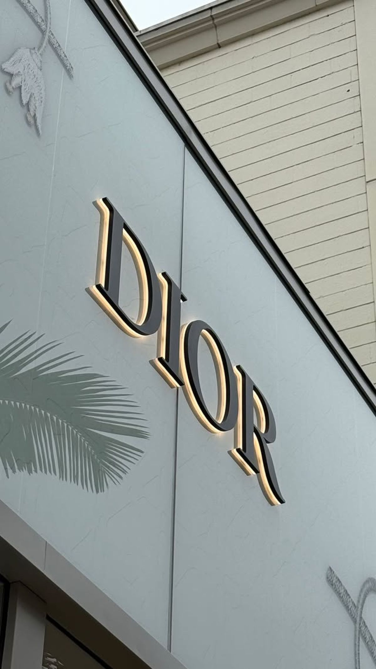 Τούνη Αμερική