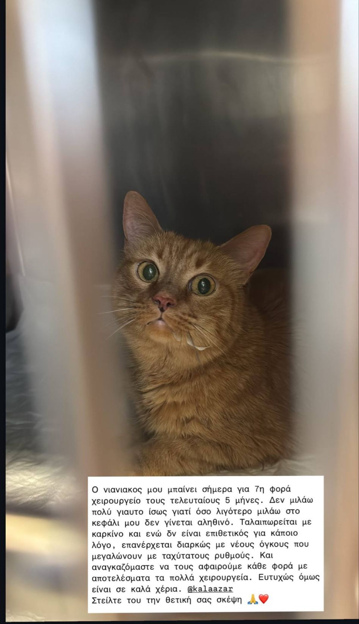 Η ανάρτηση της Άννας Μαρίας Βέλλη