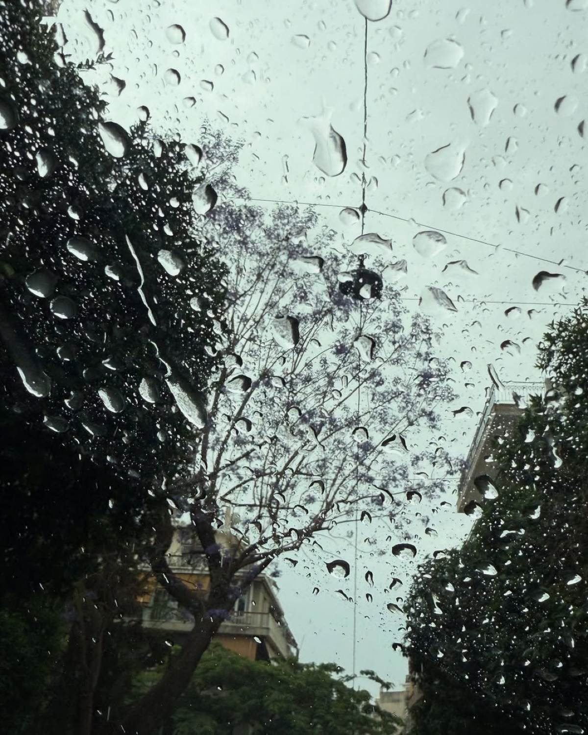 βροχερό τοπίο