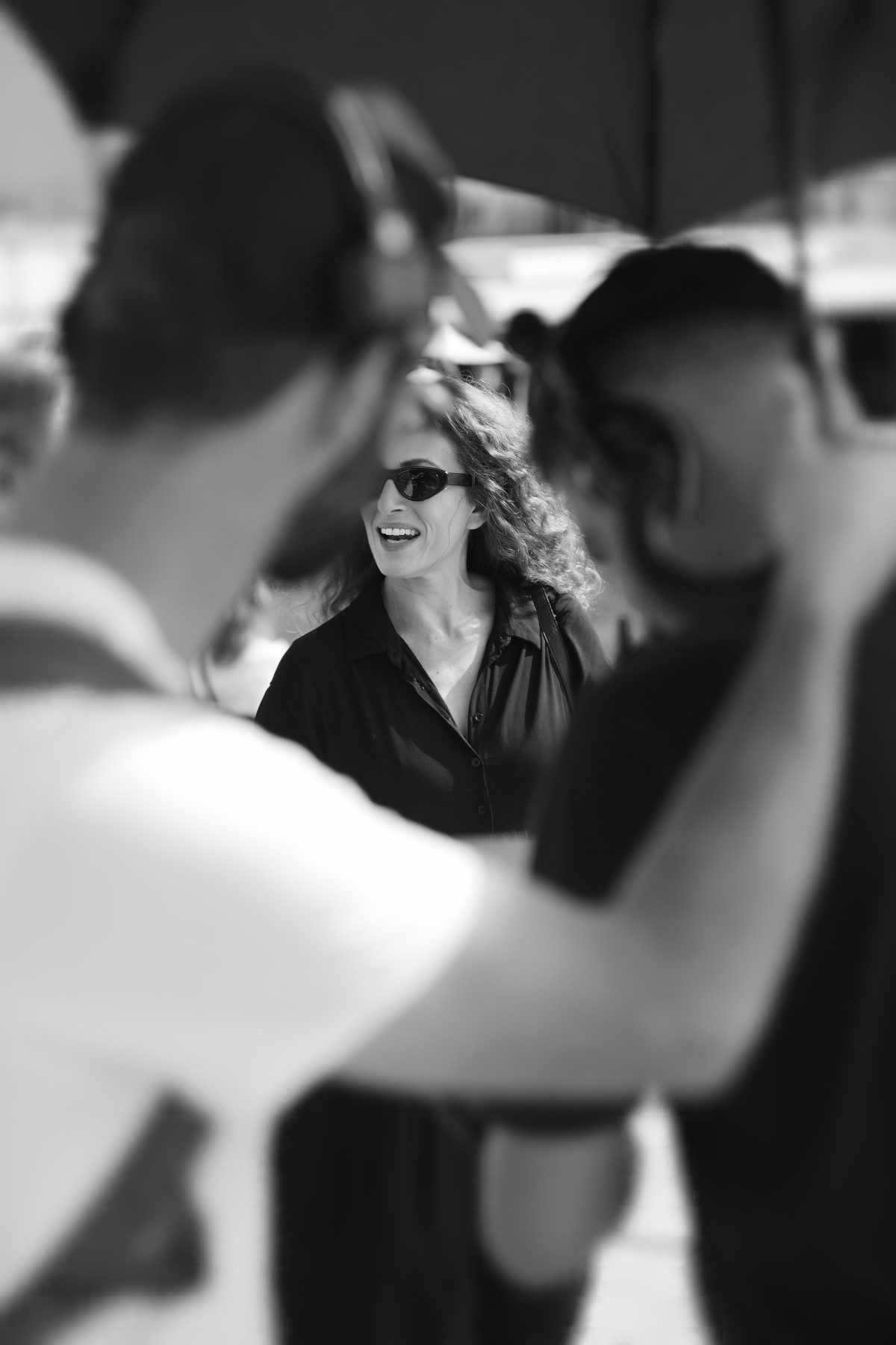 Η Γη της Ελιάς στα Χανιά