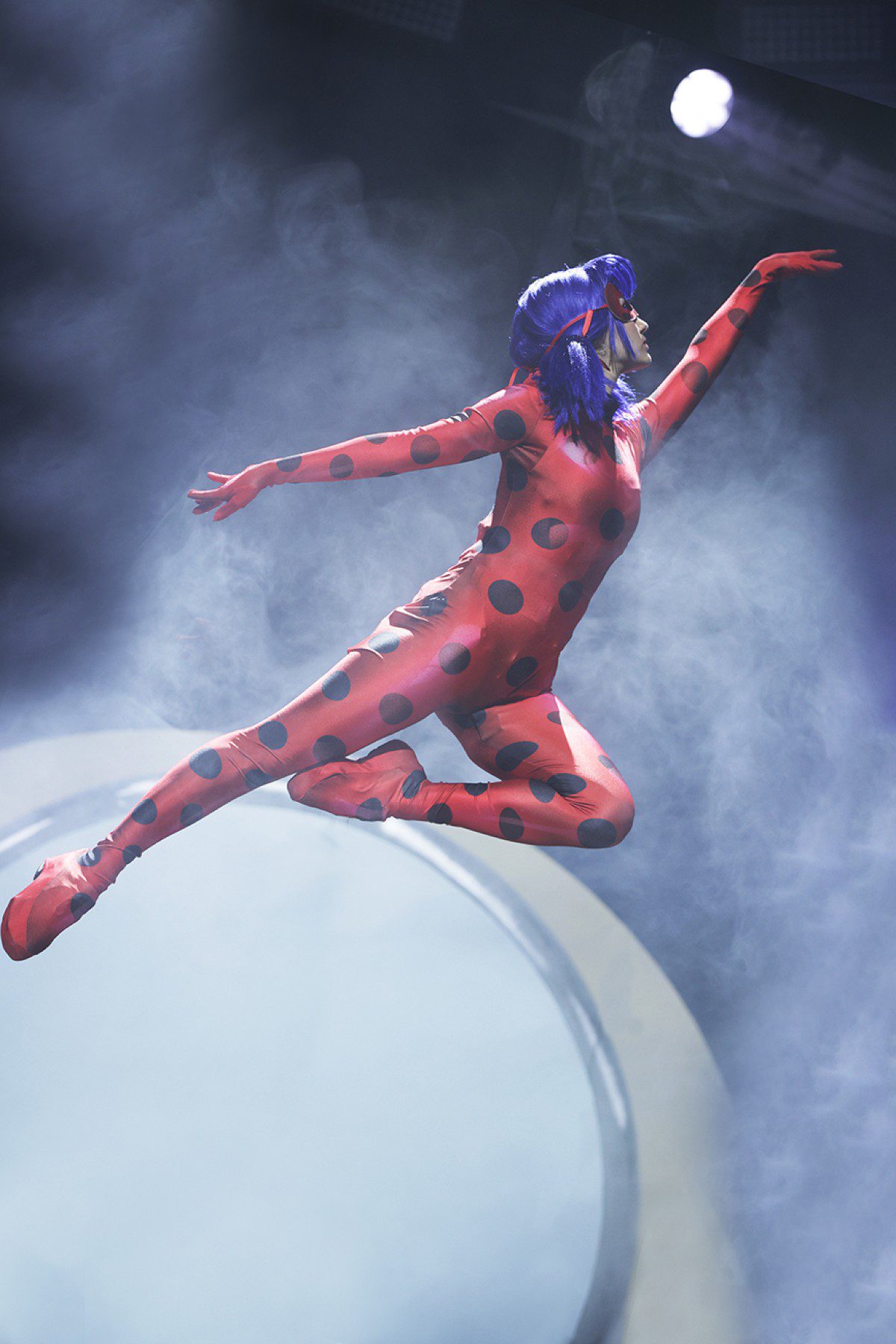 Miraculous Lady Bug & Cat Noir