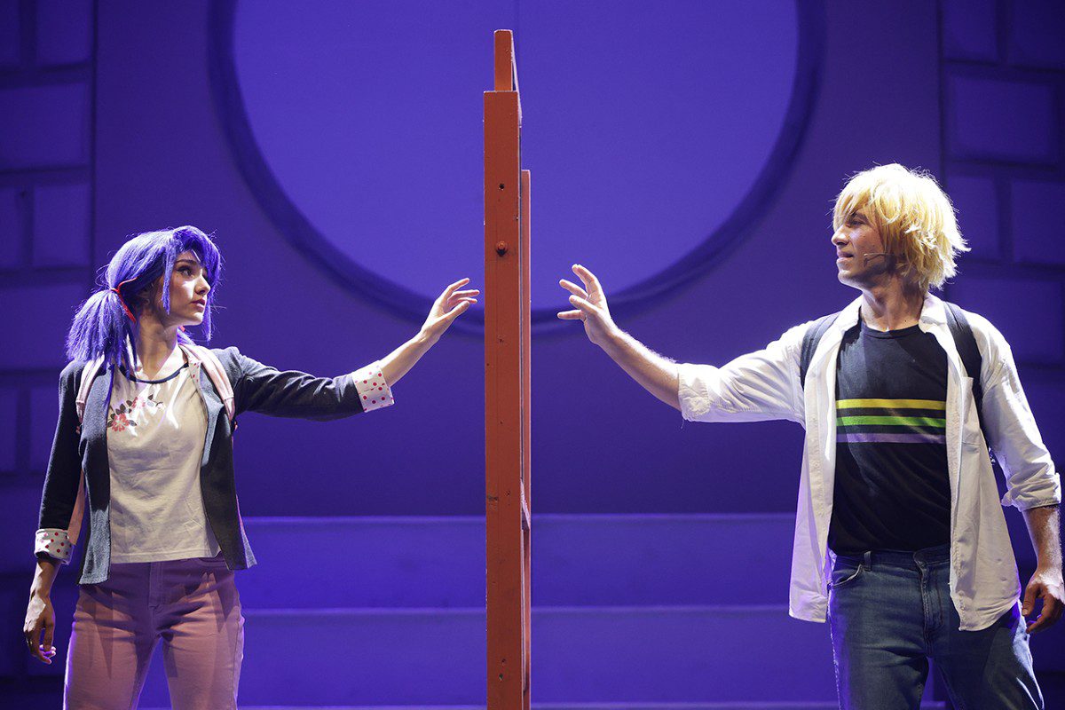 Miraculous Lady Bug & Cat Noir