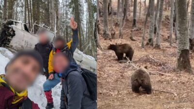 Ο ορειβάτης που δέχθηκε επίθεση από αρκούδα στη Δράμα