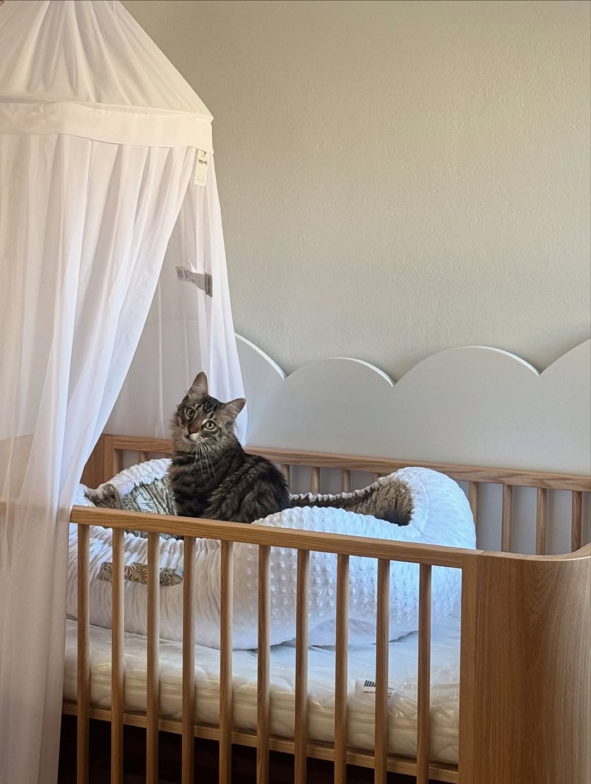 Η Ευρυδίκη Βαλαβάνη στο Instagram