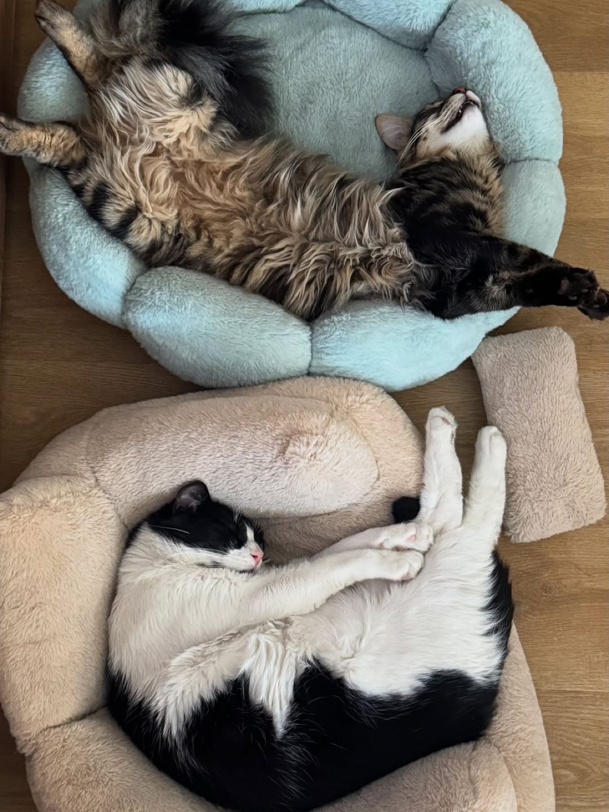 Η Ευρυδίκη Βαλαβάνη στο Instagram