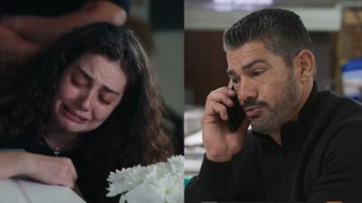 Γη της ελιάς Άννα Αποστόλης