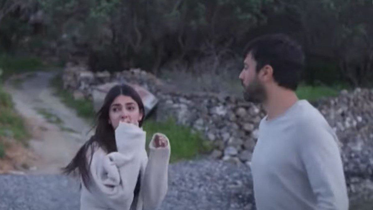 Γη της ελιάς Βασιλική Στέφανος