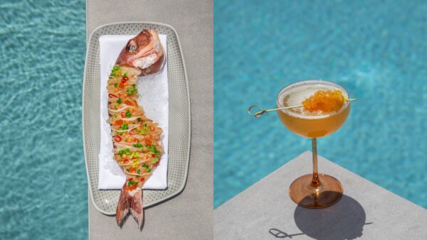 Mappemonde Rooftop Restaurant Bar